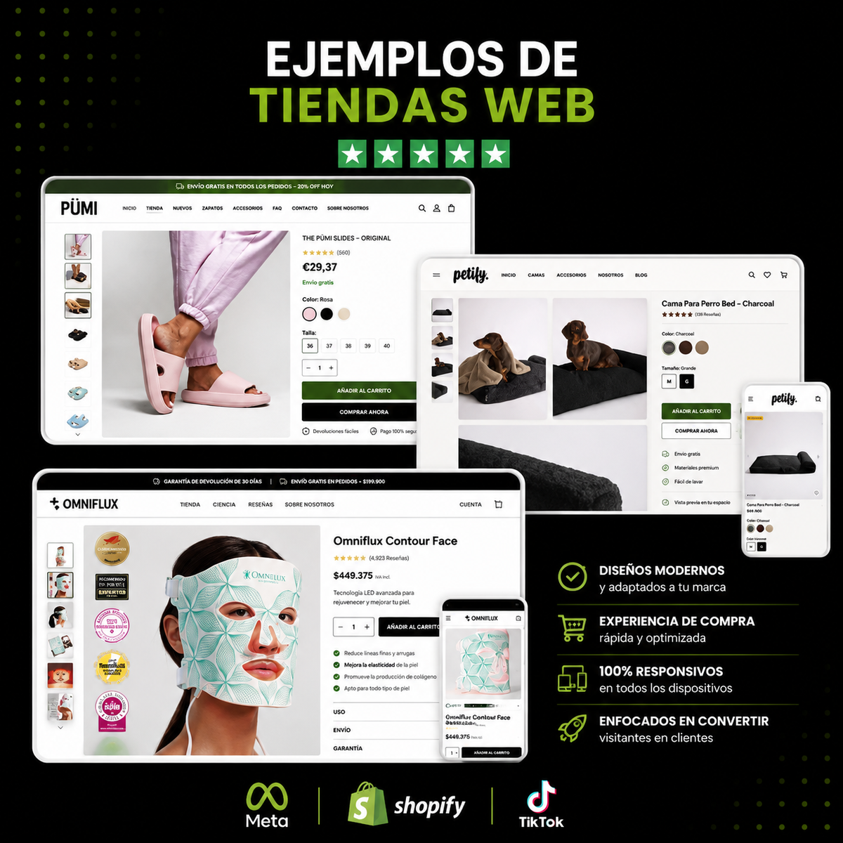 Web preconstruida + guía
