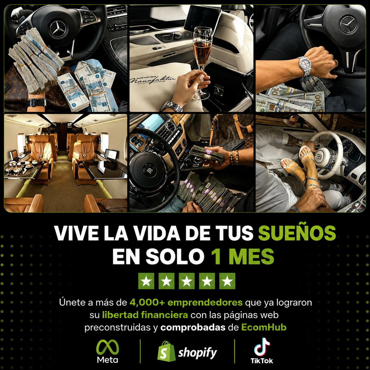 Web preconstruida + guía